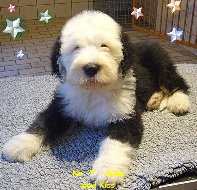 Nr. 7 - Rde
Soul Kiss