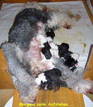 Morgens vorm Aufstehen...