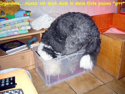 Irgendwie...mussss ich doch auch in diese Kiste passen *grrr*