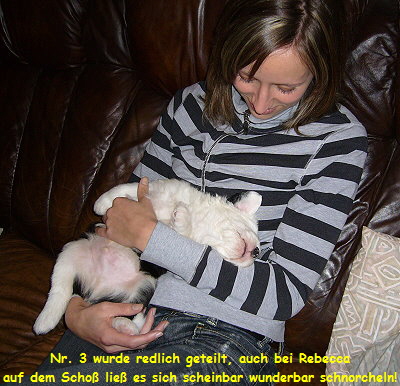 Nr. 3 wurde redlich geteilt, auch bei Rebecca
auf dem Scho lie es sich scheinbar wunderbar schnorcheln!