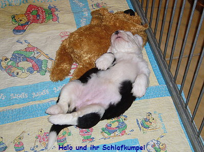 Halo und ihr Schlafkumpel