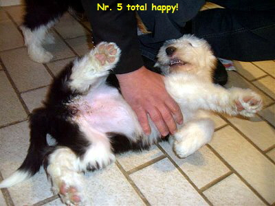 Nr. 5 total happy!