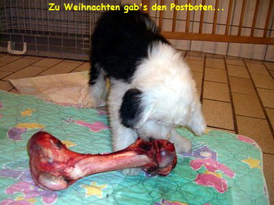 Zu Weihnachten gab's den Postboten...