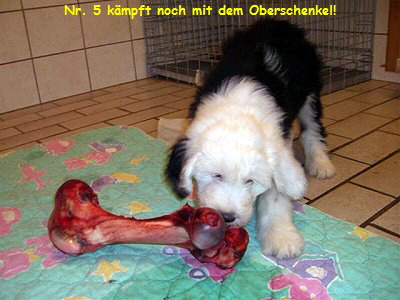 Nr. 5 kmpft noch mit dem Oberschenkel!