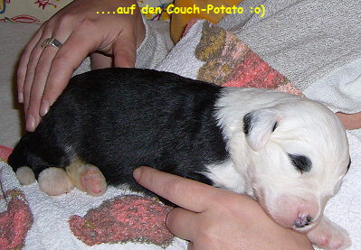 ....auf den Couch-Potato :o)