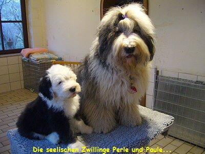 Die seelischen Zwillinge Perle und Paule...