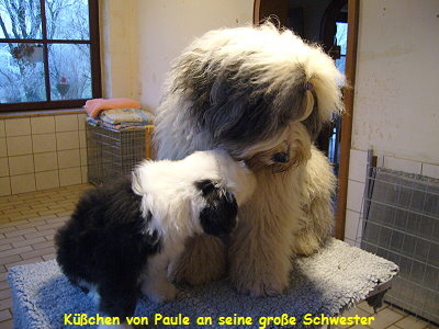 Kchen von Paule an seine groe Schwester