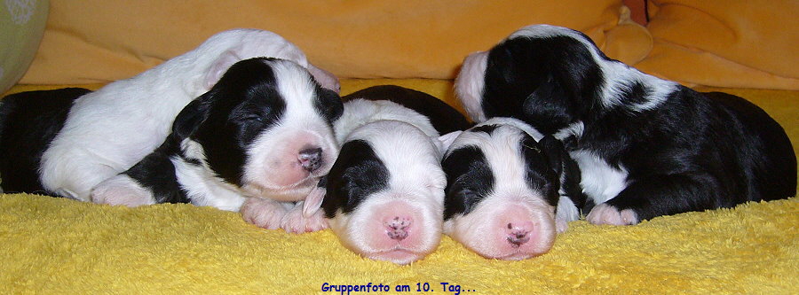 Gruppenfoto am 10. Tag...