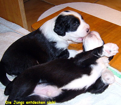 Die Jungs entdecken sich!