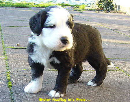 Erster Ausflug in's Freie...