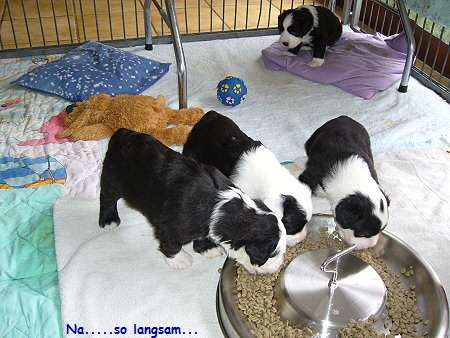 Na.....so langsam...