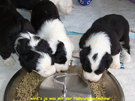 ...wird's ja was mit der Nahrungsaufnahme!