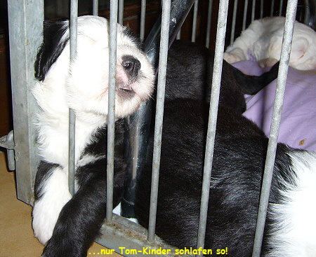 ...nur Tom-Kinder schlafen so!