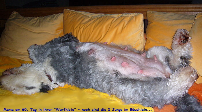 Mama am 60. Tag in ihrer 