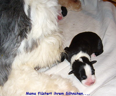 Mama flstert ihrem Shnchen....
