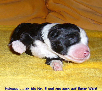 Huhuuuu....ich bin Nr. 5 und nun auch auf Eurer Welt!