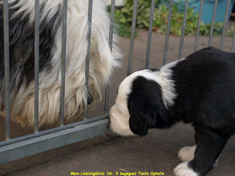 Mein Lieblingsbild: Nr. 9 begegnet Tante Ophelia