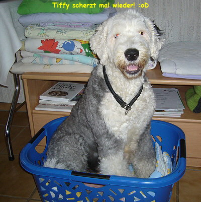 Tiffy scherzt mal wieder! :oD