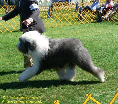 D.J. in the perfect move...
   Foto: Colleen Allen Grady