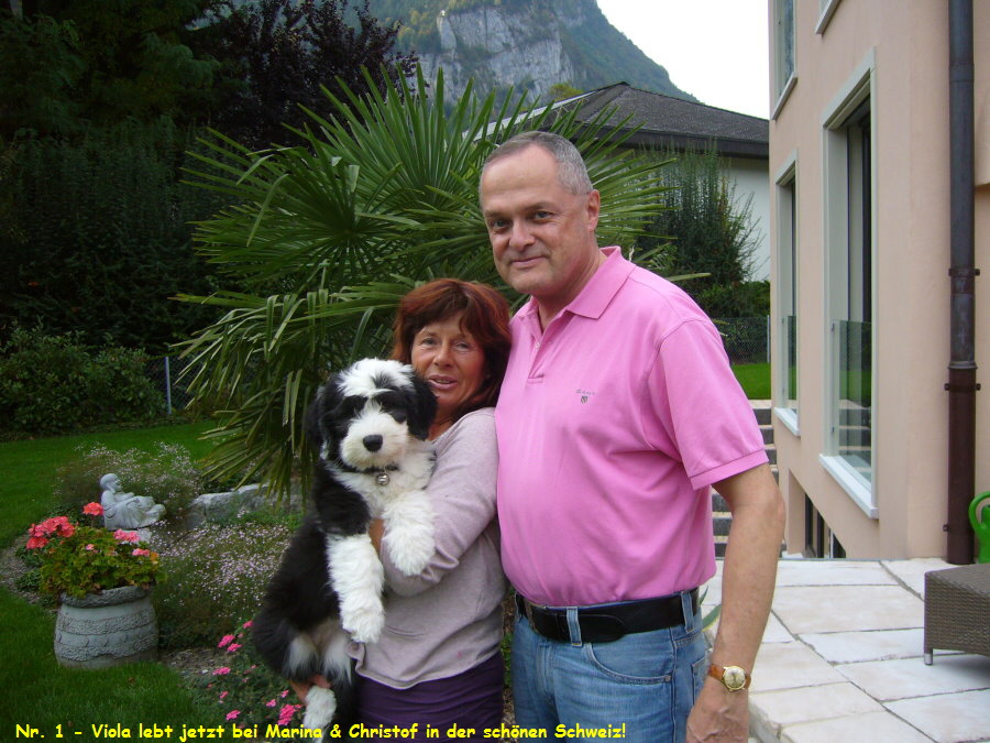 Nr. 1 - Viola lebt jetzt bei Marina & Christof in der schnen Schweiz!