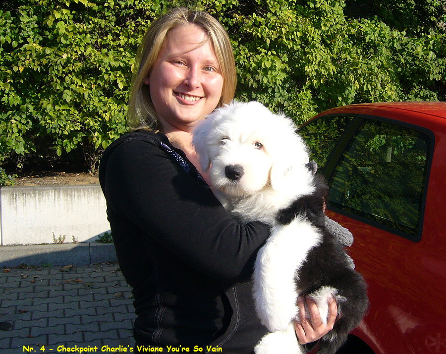 Nr. 4 - Checkpoint Charlies Viviane Youre So Vain