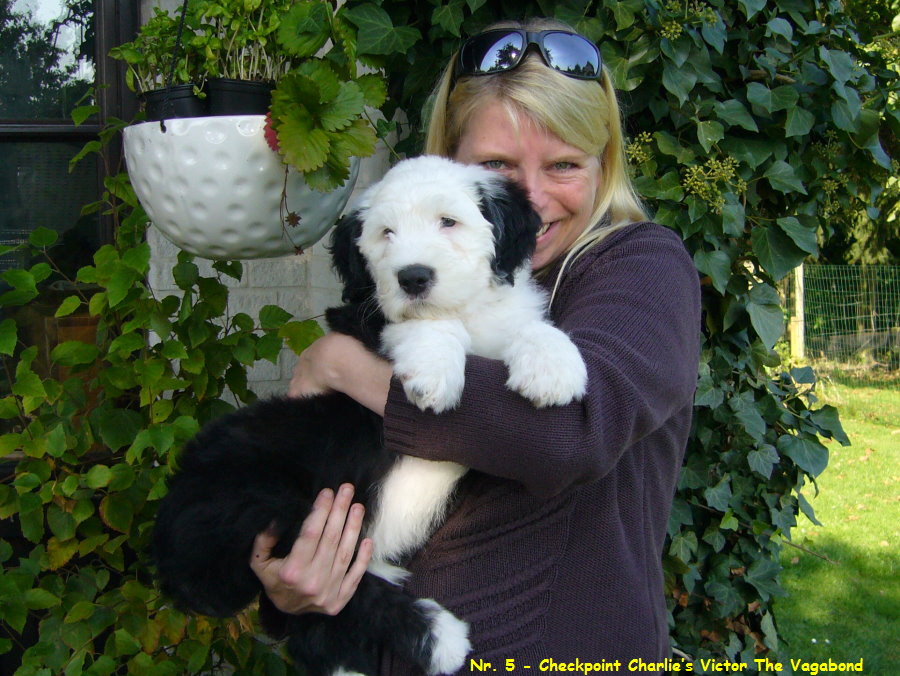 Nr. 5 - Checkpoint Charlies Victor The Vagabond