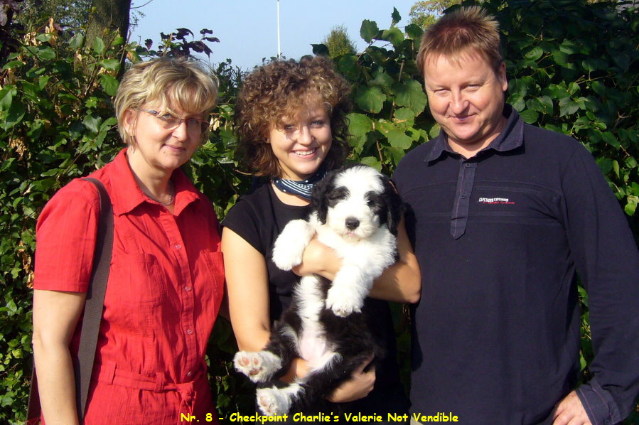 Nr. 8 - Checkpoint Charlies Valerie Not Vendible