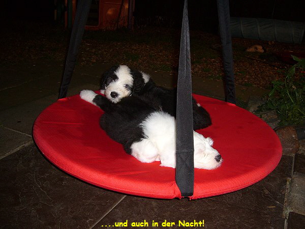 ....und auch in der Nacht!