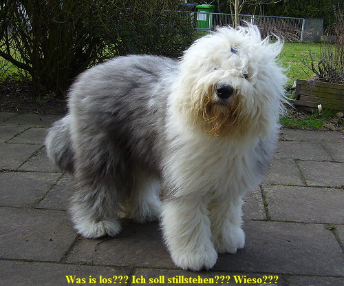 Was is los??? Ich soll stillstehen??? Wieso???