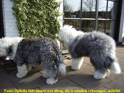 Tante Ophelia lt immer was brig, die is nmlich schwanger...hhh