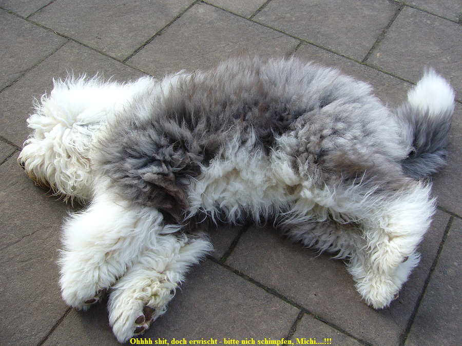 Ohhhh shit, doch erwischt - bitte nich schimpfen, Michi....!!!