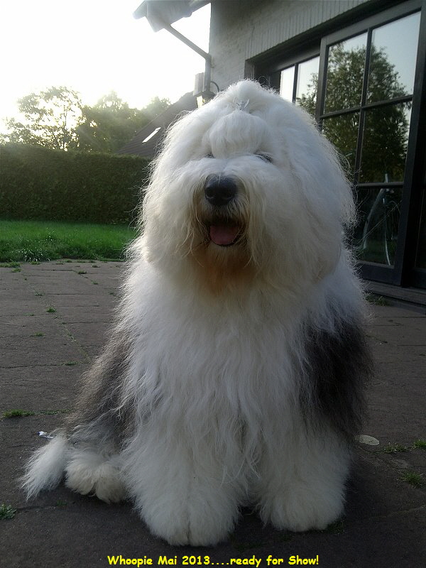 Whoopie Mai 2013....ready for Show!