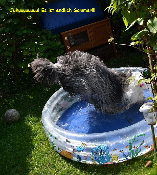 Juhuuuuuuuu! Es ist endlich Sommer!!!