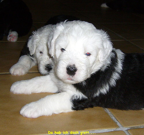 Da hab ich doch glatt....