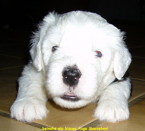 ...beinahe ein blaues Auge bersehen!