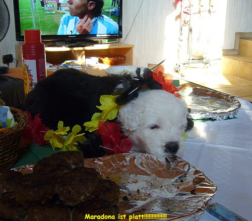 Maradona ist platt!!!!!!!!!!!!!!!