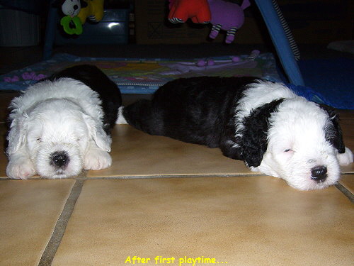 After first playtime...