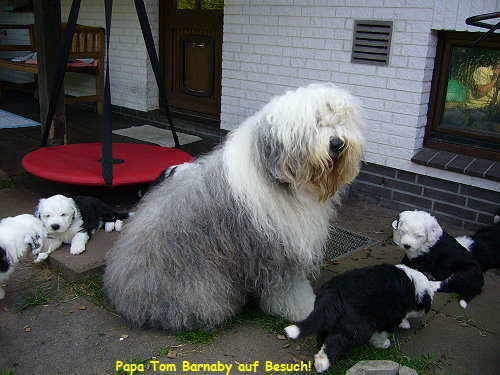 Papa Tom Barnaby auf Besuch!
