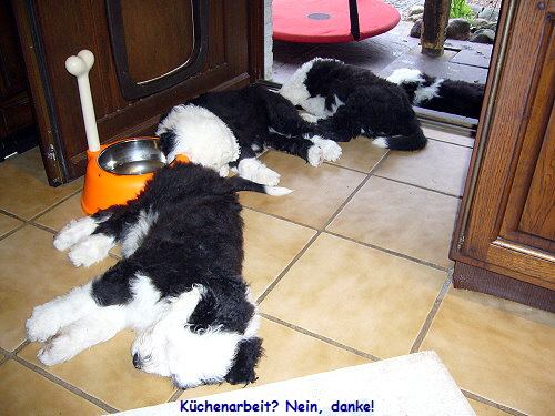 Kchenarbeit? Nein, danke!