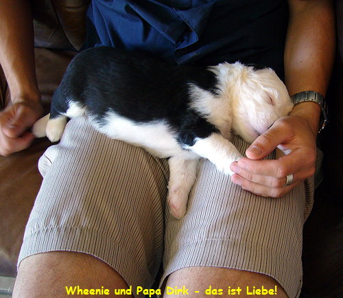 Wheenie und Papa Dirk - das ist Liebe!