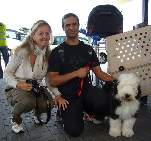 Sheep bei der Arbeit in seinem Kindergarten fr behinderte Kinder in Jerusalem