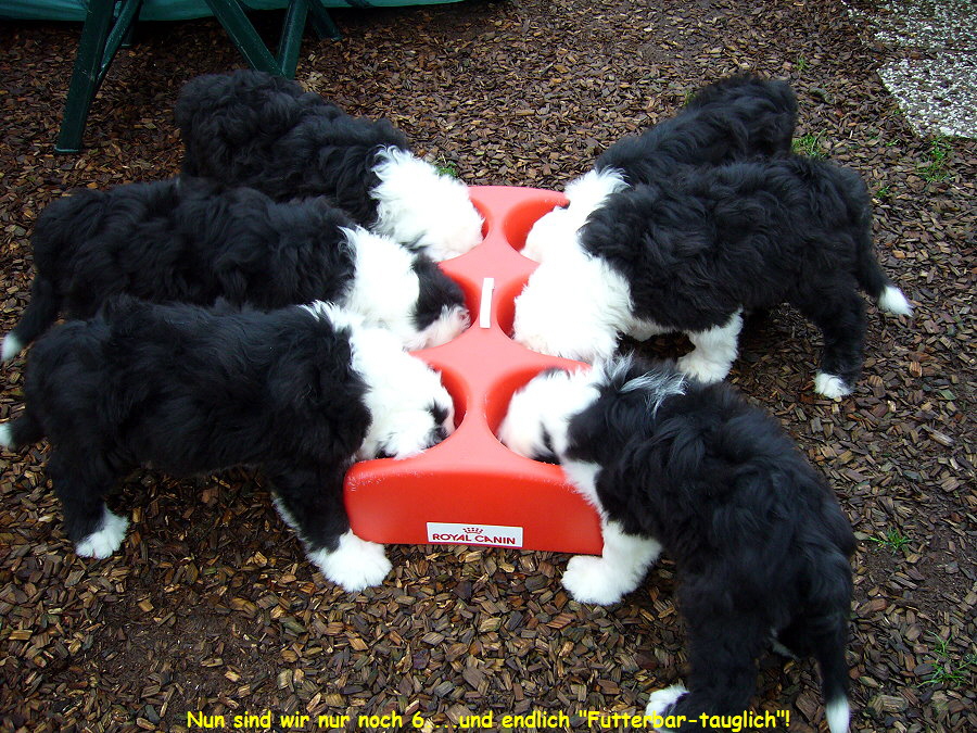 Nun sind wir nur noch 6....und endlich 