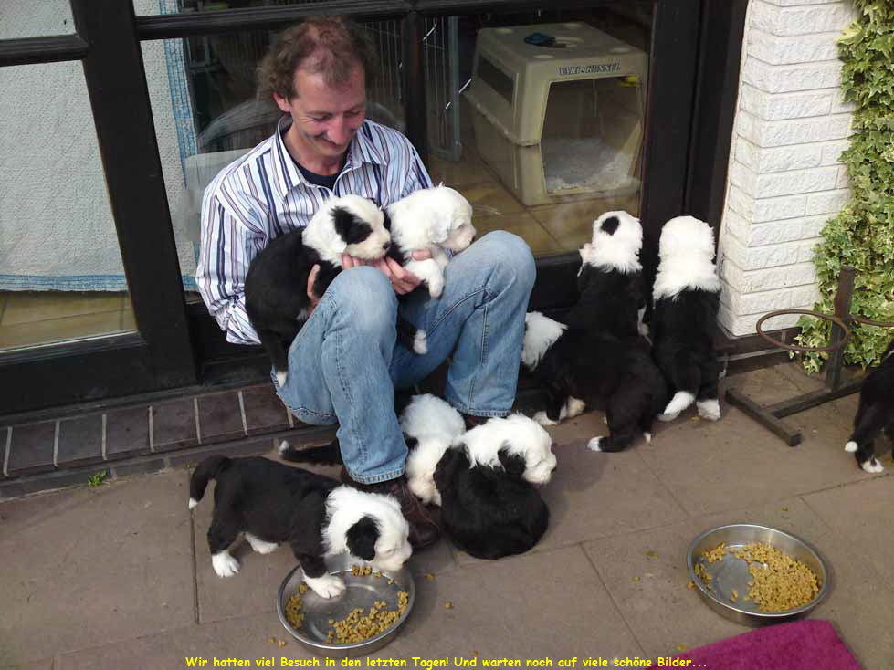 Wir hatten viel Besuch in den letzten Tagen! Und warten noch auf viele schne Bilder...