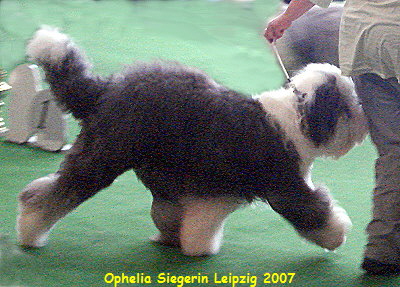 Ophelia Siegerin Leipzig 2007 Ophelia Siegerin Leipzig 2007