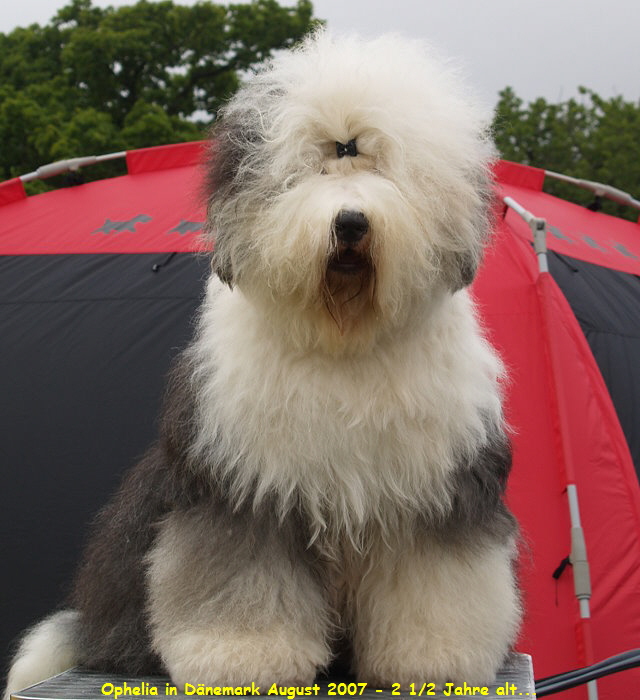 Ophelia in Dnemark August 2007 - 2 1/2 Jahre alt...
