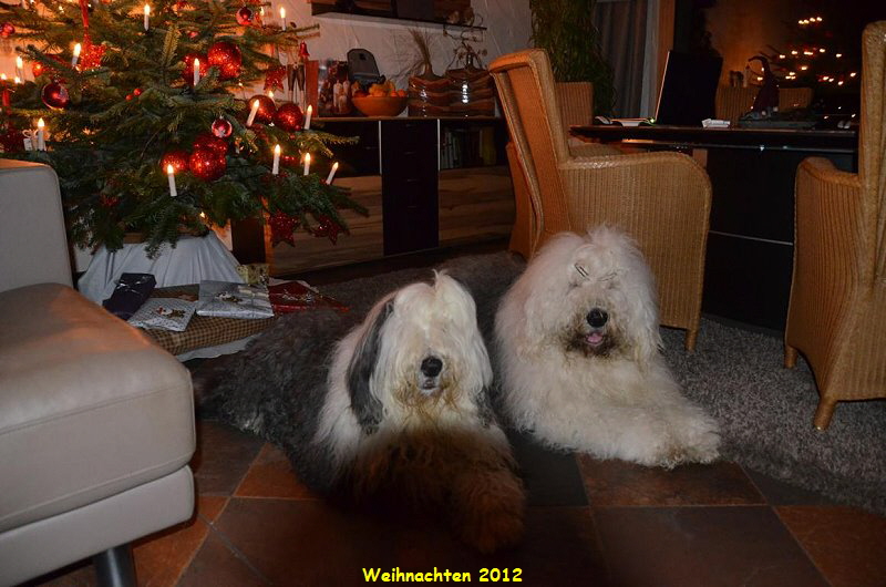 Weihnachten 2012