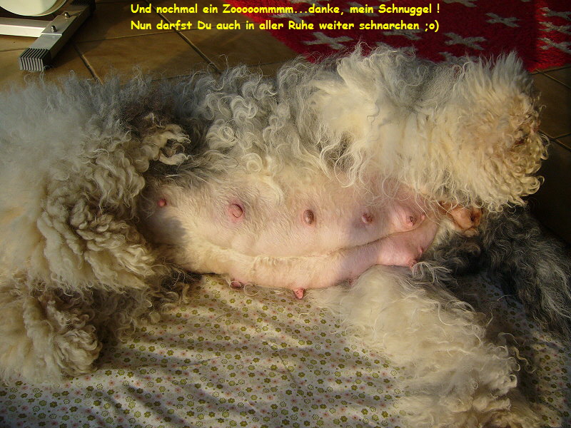 Und nochmal ein Zooooommmm...danke, mein Schnuggel !
Nun darfst Du auch in aller Ruhe weiter schnarchen ;o)