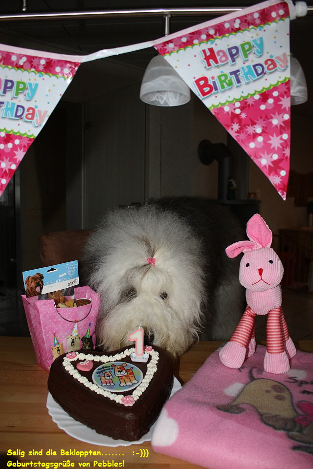 Selig sind die Bekloppten.......  :-)))
  Geburtstagsgre von Pebbles!
