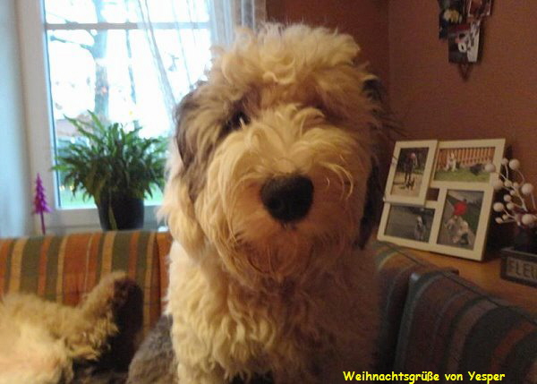 Weihnachtsgre von Yesper