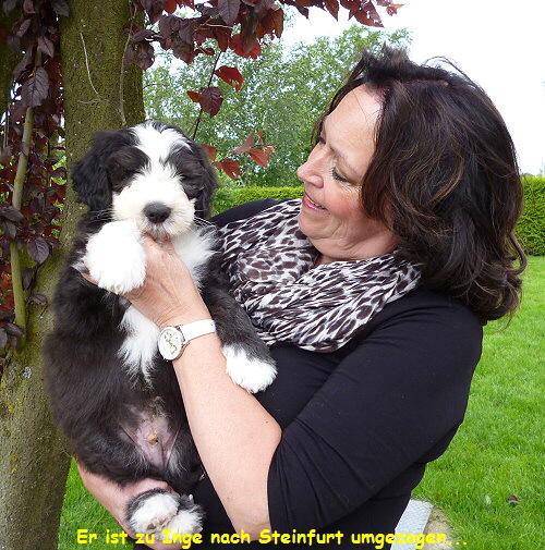 Er ist zu Inge nach Steinfurt umgezogen...